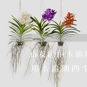 浦发信用卡逾期四个月没接到电话-浦发信用卡逾期四个月没接到电话怎么办