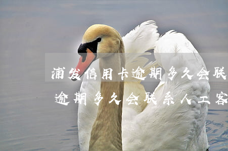 浦发信用卡逾期多久会联系人-浦发信用卡逾期多久会联系人工客服