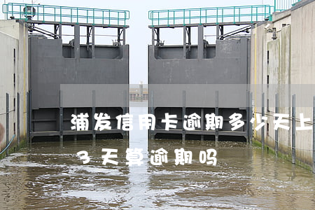 浦发信用卡逾期多少天上报征信(浦发信用卡3天算逾期吗)