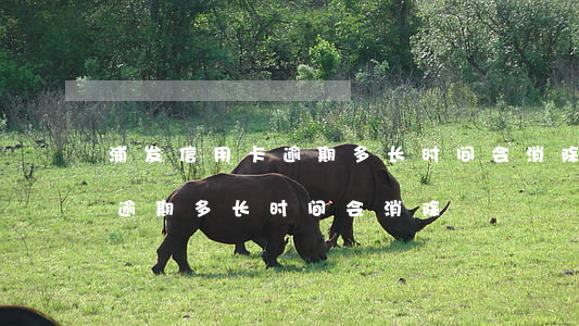 浦发信用卡逾期多长时间会消除(浦发信用卡逾期多长时间会消除)