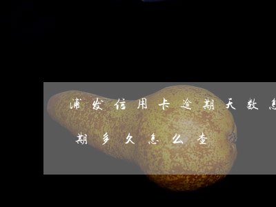 浦发信用卡逾期天数怎么查(想知道信用卡逾期多久怎么查)