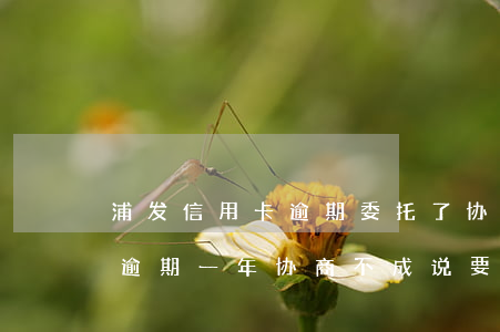 浦发信用卡逾期委托了协商(浦发银行欠6千逾期一年协商不成说要起诉我)