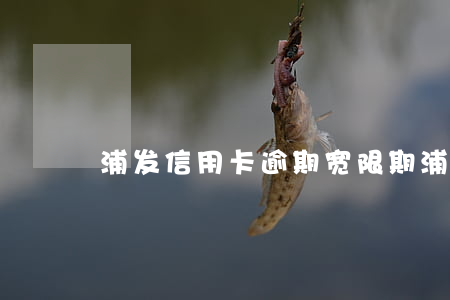 浦发信用卡逾期宽限期(浦发信用卡 宽限期)