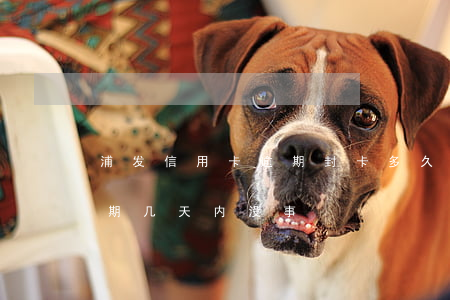 浦发信用卡逾期封卡多久(浦发银行信用卡逾期几天内没事)