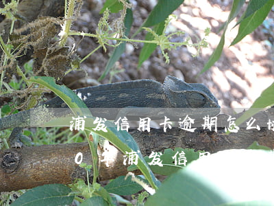 浦发信用卡逾期怎么协商减免利息-2020年浦发信用卡逾期政策