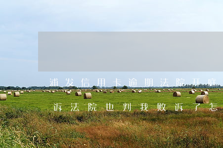 浦发信用卡逾期法院开庭吗(被浦发信用卡起诉法院也判我败诉了怎么办)