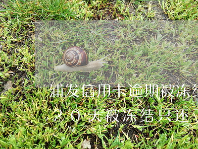 浦发信用卡逾期被冻结了怎么办-浦发逾期20天被冻结,只还了最低额度怎么办