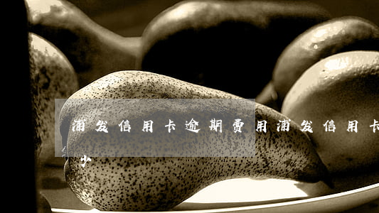 浦发信用卡 逾期费用(浦发信用卡 逾期费用多少)