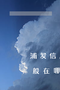 浦发信用卡逾期起诉地(浦发银行逾期起诉一般在哪个城市开庭)