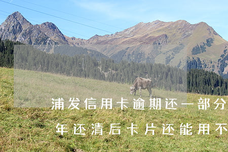 浦发信用卡逾期还一部分(浦发信用卡逾期半年还清后卡片还能用不)