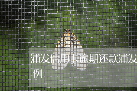 浦发信用卡 逾期还款 浦发信用卡逾期还款案例
