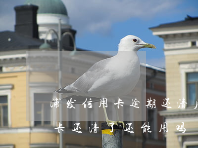 浦发信用卡逾期还清后还能用吗(逾期的信用卡还清了还能用吗)