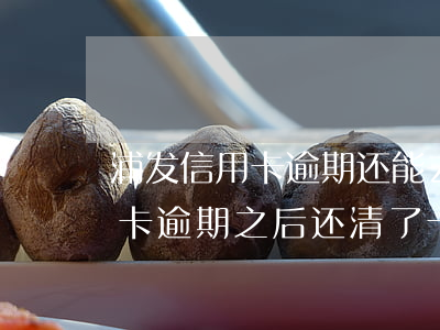 浦发信用卡逾期还能去开户吗-浦发的信用卡逾期之后还清了,卡还能用吗