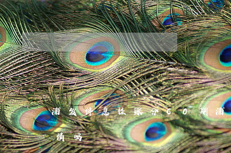 浦发停息挂账分60期 浦发停息挂账容易申请吗