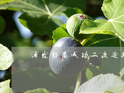 浦发协商成功二次逾期是否还能再次协商？