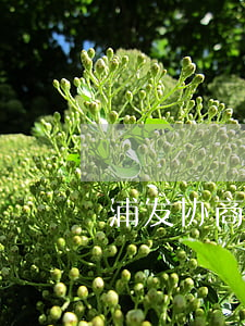 浦发协商还款-浦发协商还款终于成功了