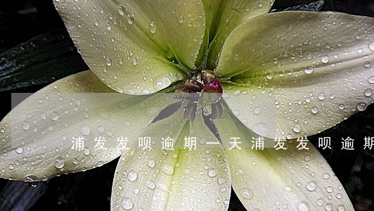 浦发发呗逾期一天（浦发发呗逾期一天）