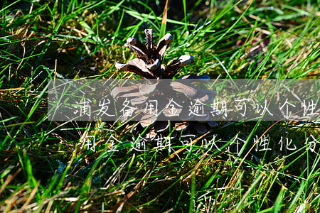 浦发备用金逾期可以个性化分期吗-浦发备用金逾期可以个性化分期吗