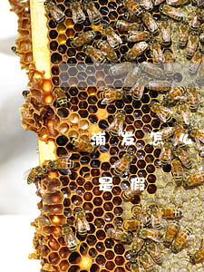 浦发怎么分60期-浦发怎么分60期是真是假