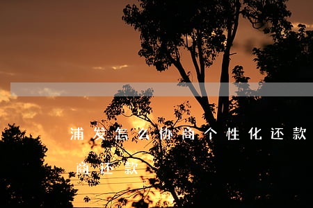 浦发怎么协商个性化还款(浦发信用卡怎样协商还款)