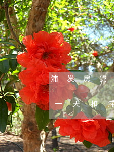 浦发房贷逾期一天扣滞纳金吗(浦发房贷逾期一天扣滞纳金吗怎么扣)