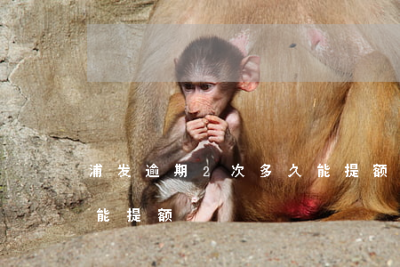 浦发逾期2次多久能提额(浦发逾期2次多久能提额)