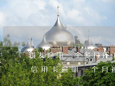 浦发逾期一个多月还了 什么时候可以用（浦发信用卡逾期一个月被限制）