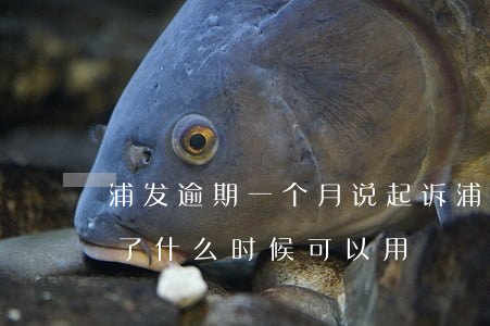 浦发逾期一个月说起诉(浦发逾期一个多月还了 什么时候可以用)