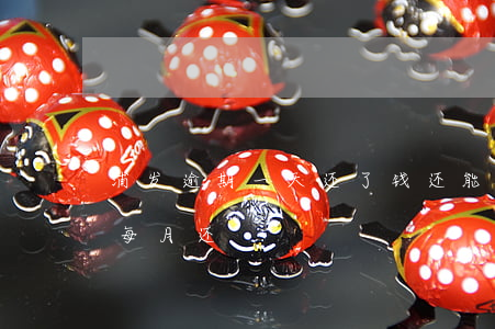 浦发逾期一天,还了,钱还能刷出来吗（浦发逾期每月还）