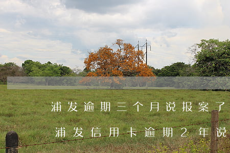 浦发逾期三个月说报案了 浦发客服说没显示（浦发信用卡逾期2年说要报案）