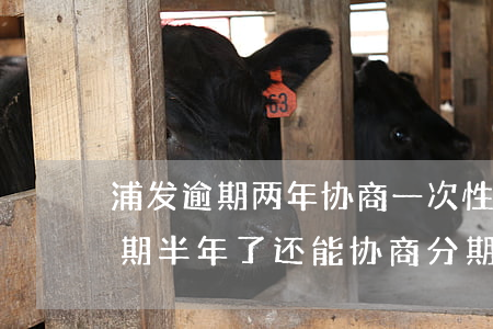 浦发逾期两年协商一次性还款(浦发银行卡逾期半年了还能协商分期吗?)
