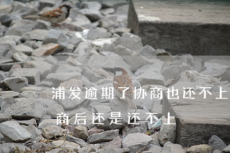 浦发逾期了协商也还不上叫去面谈-浦发协商后还是还不上
