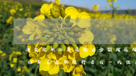 浦发逾期协商还款后金额越还越多(浦发银行协商后逾期,银行要我一次性还款)