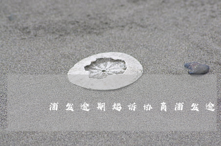 浦发逾期起诉协商(浦发逾期起诉协商)