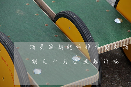 浦发逾期起诉律师费(欠浦发信用卡三万元逾期几个月会被起诉呢)