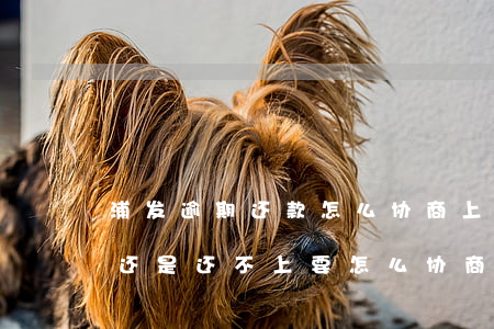 浦发逾期还款怎么协商上海(浦发逾期半个月还是还不上要怎么协商)