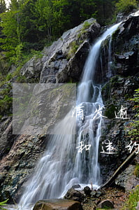 浦发逾期还款违约金减免(浦发银行逾期利息和违约金能退回来吗)