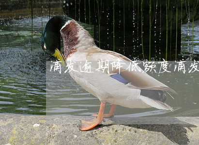 浦发逾期降低额度(浦发最近降额)