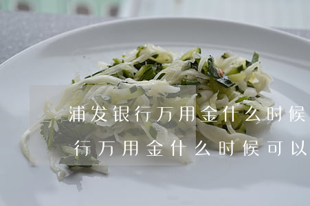 浦发银行万用金什么时候可以还款-浦发银行万用金什么时候可以还款啊