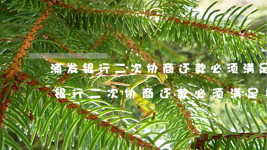 浦发银行二次协商还款必须满足条件-浦发银行二次协商还款必须满足条件吗