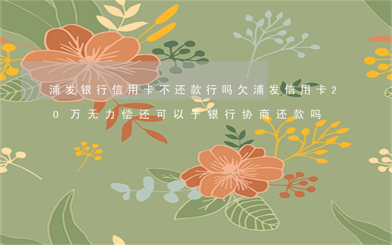 浦发银行信用卡不还款行吗(欠浦发信用卡20万无力偿还可以于银行协商还款吗)