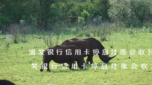 浦发银行信用卡停息挂账会收其他费用-浦发银行信用卡停息挂账会收其他费用吗