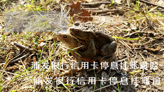 浦发银行信用卡停息挂账逾期一天怎么办-浦发银行信用卡停息挂账逾期一天怎么办理