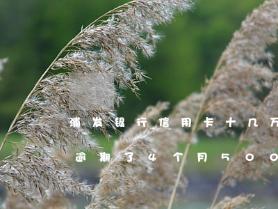 浦发银行信用卡十几万逾期怎么办 浦发银行逾期了4个月50000万会怎么样