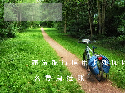 浦发银行信用卡如何停息挂账上海-浦发怎么停息挂账