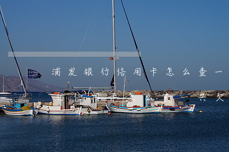 浦发银行信用卡怎么查一共欠多少-浦发银行信用卡怎么查一共欠多少钱