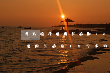 浦发银行信用卡逾期12个多月-浦发银行信用卡逾期12个多月怎么办