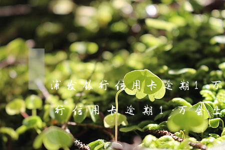 浦发银行信用卡逾期1万会上门吗-浦发银行信用卡逾期1万会上门吗是真的吗