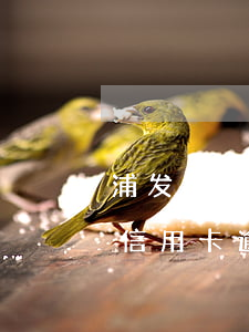 浦发银行信用卡逾期9000元-浦发银行信用卡逾期9000元怎么办