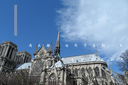 浦发银行信用卡逾期一天利息多少-浦发银行信用卡逾期一天利息多少钱